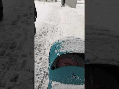 Видео: Мысли о выборе детской коляски. Отзыв на Noordline Olivia Sport.