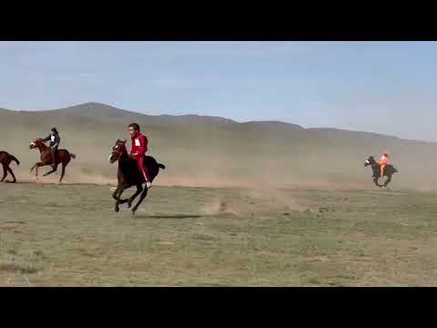 Видео: Аппаз ауылы 2024жыл Тай бәйге (4шақырым)