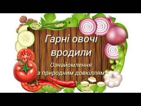 Видео: Ознайомлення з природним довкіллям "Гарні овочі вродили", старша група