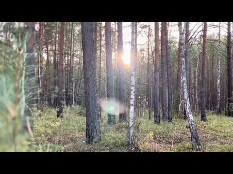 Видео: Земля, вода и небо