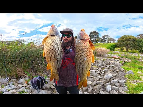 Видео: Рыбалка на ГИГАНТОВ в пригородах Мельбурна! Рыбалка в городских стоках
