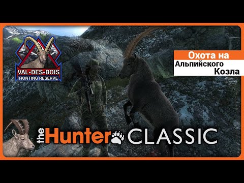 Видео: Охота на Альпийского Козла в theHunter Classic !