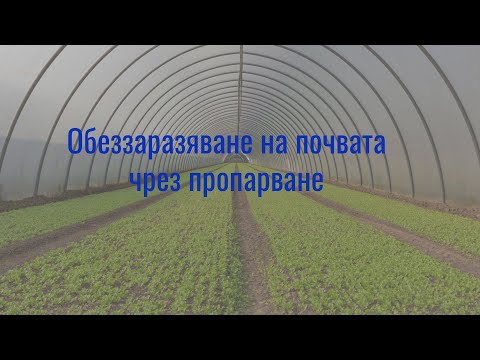 Видео: Обеззаразяване на #почвата чрез пропарване