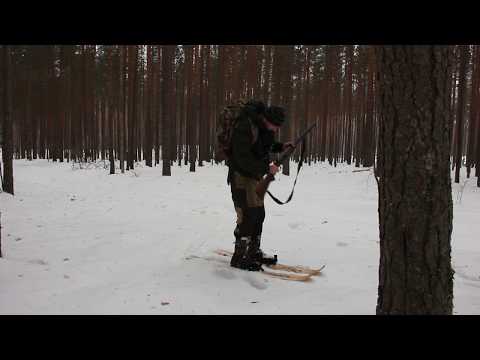 Видео: Поиск глухариного тока. Зимняя охота. Как найти ток в лесу.