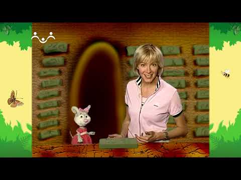 Видео: День в Шишкином Лесу. Профессии. Библиотекарь