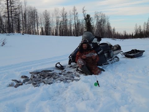 Видео: Ловля Хариуса на мормышку(04.0..2016)