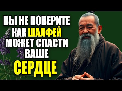 Видео: Как ШАЛФЕЙ спасает СЕРДЦЕ: правда, которую вы НЕ ЗНАЛИ