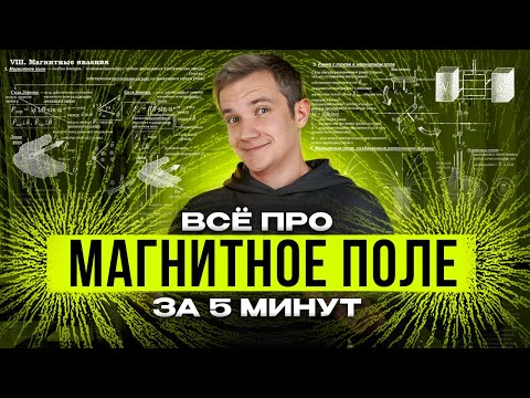 Видео: Всё про МАГНИТНОЕ ПОЛЕ за 5 минут для ЕГЭ 2025 по физике