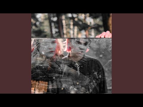 Видео: Котик