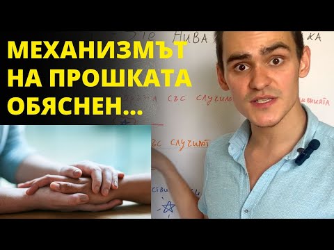 Видео: Как Да Простя Наистина? - 3те Нива На Прошка
