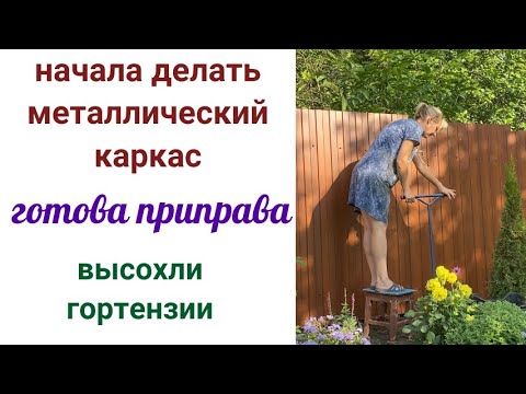 Видео: Шпалера под розу. Приправа на зиму. Сухоцвет из гортензии. Архив 3.09.2023