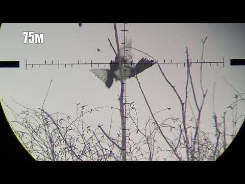 Видео: #3 январь 2022