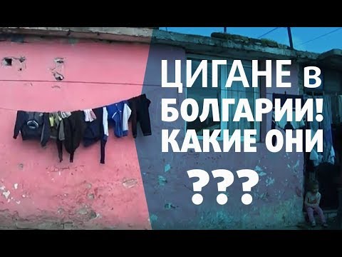 Видео: Цигане в Болгарии. Есть с ними проблемы или нет?