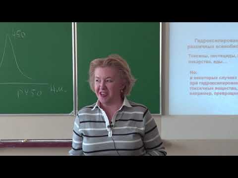 Видео: Милаева Е. Р.  -  Бионеорганическая химия  - 5. Цитохромы P450