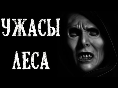 Видео: Ужасы Леса. Страшные истории про Лес (3в1)