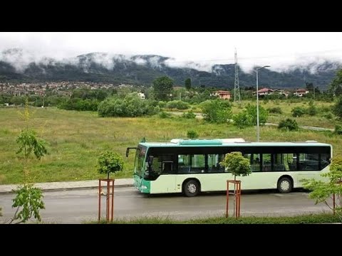 Видео: IN MOTION 8 "Приказка за джунглата" (Автобус 260)