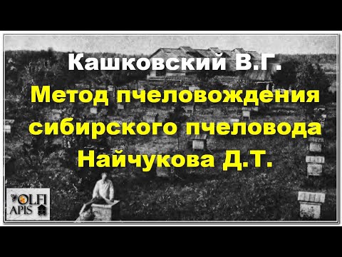 Видео: #Кашковский В. Г. Метод пчеловождения сибирского пчеловода #Найчуков -а Д. Т.