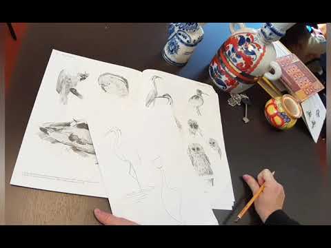 Видео: Композиция5(8),2(5). Стилизация животных