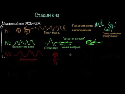 Видео: Стадии сна и циркадианные ритмы | Здоровье | Медицина