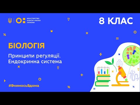 Видео: 8 клас. Біологія. Принципи регуляції. Ендокринна система (Тиж.5:ПТ)