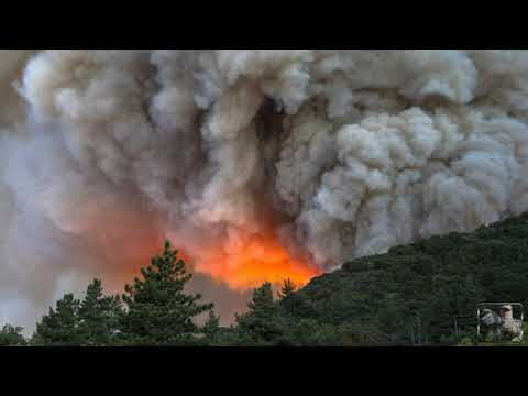 Видео: Пожар в лесу. Что делать?