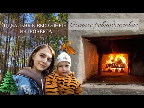 Видео: Уютный осенний влог из деревни🍂 Заряжаюсь энергией 🌞 Лес, река, русская печь 🔥