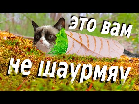 Видео: ГОТОВЛЮ ВКУСНЕЙШУЮ ШАУРМУ С ШАШЛЫКОМ В ЛЕСУ / ЧИЛЮ НА ПРИРОДЕ