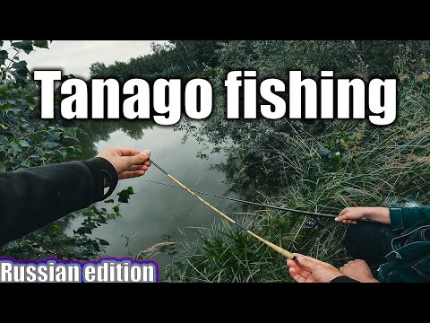 Видео: Tanago fishing russian edition | Рыбалка на Танаго в деревенском пруду