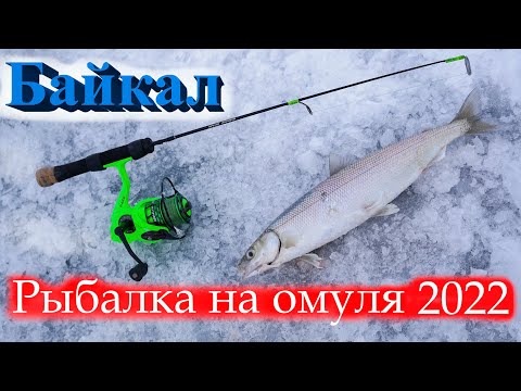 Видео: Рыбалка на Байкальского омуля 2022 часть 1.