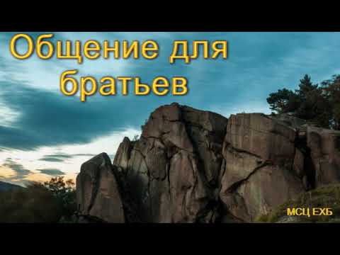 Видео: Общение для братьев. С. Боринский. МСЦ ЕХБ.