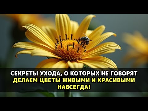 Видео: ПОЧЕМУ ВАШИ РАСТЕНИЯ НЕ ЦВЕТУТ? ЭТИ СЕКРЕТЫ СПАСУТ САД, КОГДА ВСЁ ПРОПАЛО!