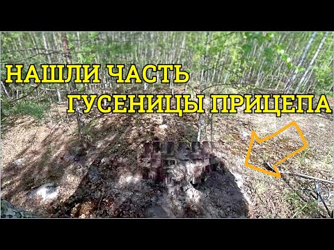 Видео: До нас там никто не был. Много верхового железа на торфяниках