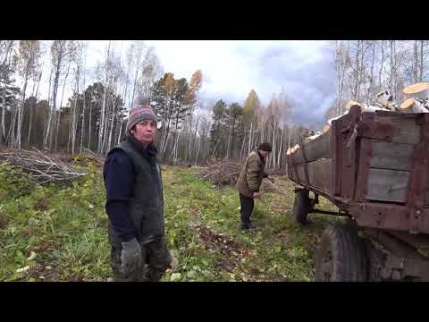 Видео: Пилим дрова. 1 часть. почему мало грузим.