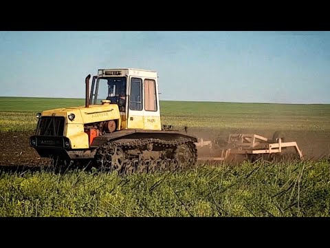 Видео: Трактор Т-404 с БДМ-3Х4П на обработке паров