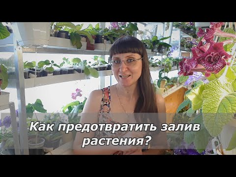 Видео: Залив:Часть 2. Устраняем причины залива.