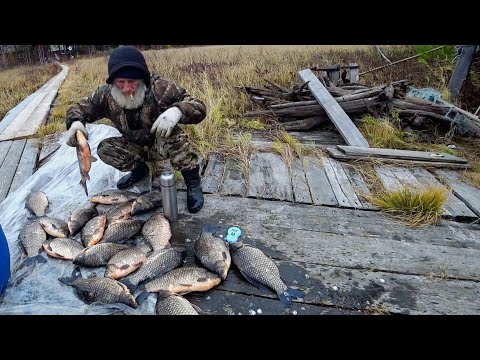 Видео: Люди на болотах часть 3. Евгеньич вернулся!