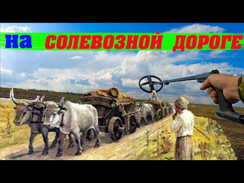 Видео: Совместный коп на старой дороге.