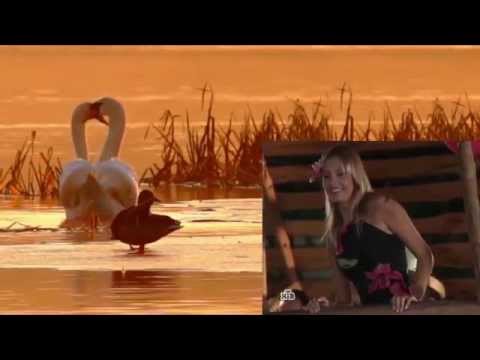 Видео: Алла Ковнир - Милый мой
