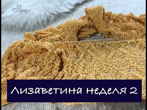 Видео: Лизаветина неделя 2