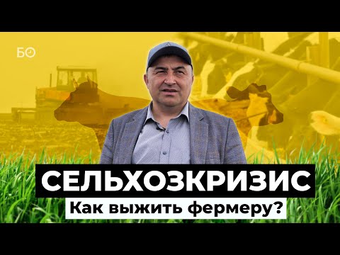 Видео: Как зарабатывать миллионы на низких ценах? Зерно и молоко в кризис. Реальная история успеха