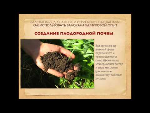 Видео: Валоканавы: мировой опыт