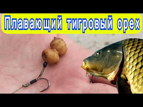 Видео: КАК СДЕЛАТЬ ТИГРОВЫЙ ОРЕХ ПЛАВАЮЩЕЙ НАСАДКОЙ! Крупный карп карась лещ на тигровый орех! Рыбалка