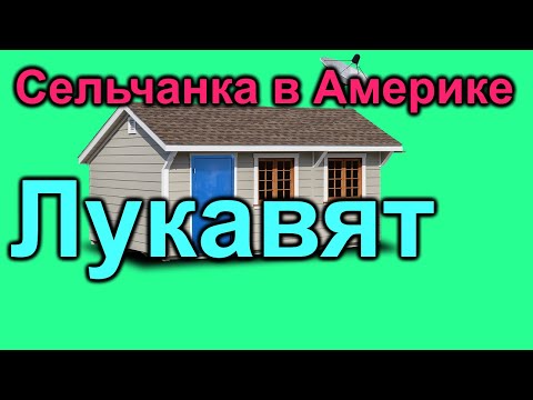 Видео: Сельчанка в Америке. Лукавят