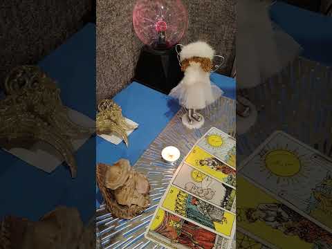 Видео: К чему вас готовят⁉️🤗☀️