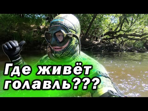 Видео: ОН КЛАССНО КЛЮЁТ! НО НУЖНО НАЙТИ ИХ ЛОГОВО!!!