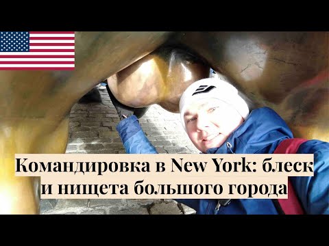 Видео: Командировка в New York часть 1: бомжи, трудяги, небоскребы / @AlexSwedenLife