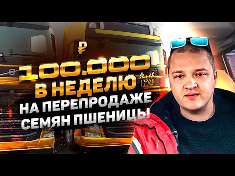 Видео: Перепродажа семян пшеницы.  С одной машины 100,000 рублей прибыли! Пишите вопросы в комментариях!