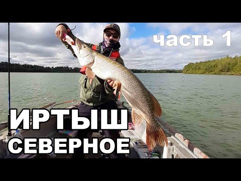 Видео: Рыбалка на Иртыше. Диповые кренки выручают. Трофейная щука.Часть1.