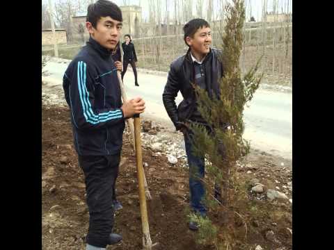 Видео: Братья МОИ