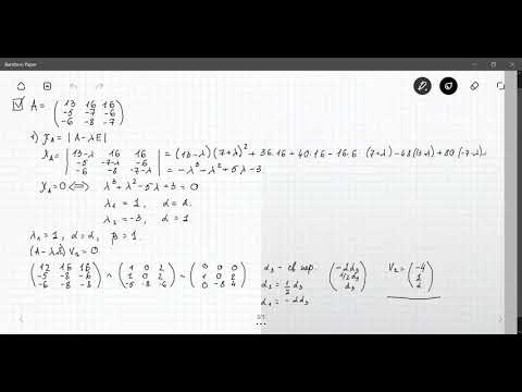 Видео: ЖНФ. практика 08.04.2020